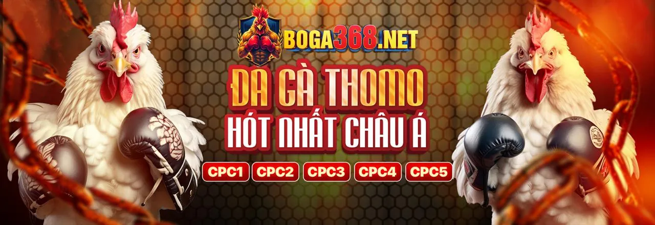 Cá cược thể thao TF88 Casino 2026